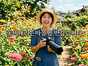 바다와 송림, 레트로 감성..