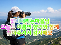 8월 식중독 주의! 살모넬라..