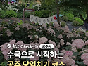 수국 시즌 시작~ #충남체크..