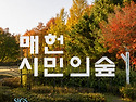 한여름 밤의 영화 같은 순..
