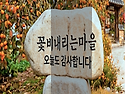 태안 핑크뮬리 명소