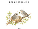 예비 아빠