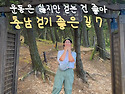 풍경 따라 걷기만 해도 힐..