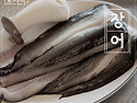 싱그러운 바람과 초록이 ..