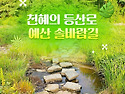 ﻿싱그러운 초..