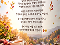 가을 인생샷 스팟 BEST ..