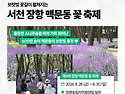 올여름, 잠깐 쉬어가고 싶..