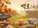 ﻿오늘은 24절..