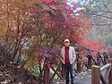 속리산 법주사