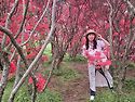 칠봉산 꽃동산
