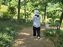 옥정호 출렁다리