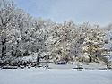 한시 - 初雪 초설