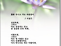 蓮꽃 만나고 가는 바람같이 /서정주