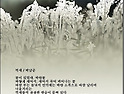 억새 / 박남준