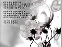 어느 인디언의 시