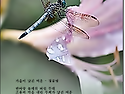 가을이 남긴 여운 / 정종면