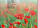 먼길 / 나태주