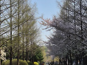 일산 호수공원