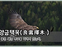 대선 개입이다! 대법원의 ..