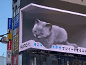 육아형님들 질문있습니다ㅜ..