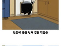 돼지 덕분에 살아난 사람