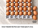 [네이버쇼핑] 국내산 무항..