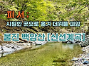 7월 27일 울진 백암산[신선계곡] 신비의 숲 제250차 정기산행
