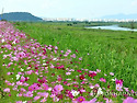 참 행복한 일입니다