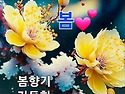 봄 인사말 이미지