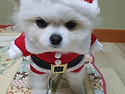 꼬 산타♡