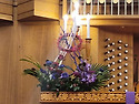 2026년 3월 5주 종려주일 성전 꽃꽂이..