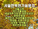 서울가을풍경(덕수궁, 경복..