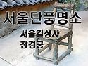 서울단풍명소(길상사, 창경..