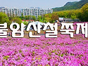불암산철쭉제..