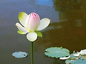 원점(原點) 기삼(其三) ..