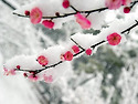 겨울이 떠나면 그 자리에