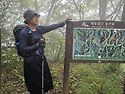 댓재 ㅡ 삼수령 대간사진 (건의령)
