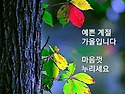 2024.09.22 불갑사 상사화 축제,불갑..