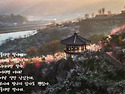 눈부시게 빛나지 않아도 괜찮아.