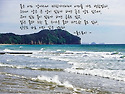 인간도 바로 이와 같은 것이다.