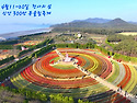 꽃 축제의 향연 1,087 ㎡ ( 3천) 바..