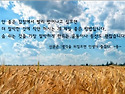 안 좋은 감정에서 빨리 벗어나고 싶으면