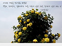 애매한 재능을 뛰어넘는 방법은
