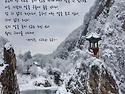 고요한 포옹