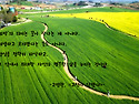 " 소박" 의 의미는