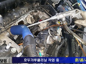 호두가루클리닝 작업