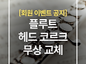 [이벤트] 플루트 헤드 코르크, 무상으로 교체해 드립니다! (전체 점검 포함)