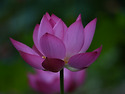주변풍경