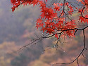 Rain Dance ..... Melanie Safka