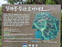 5.3. 하동 형제봉 출렁다리